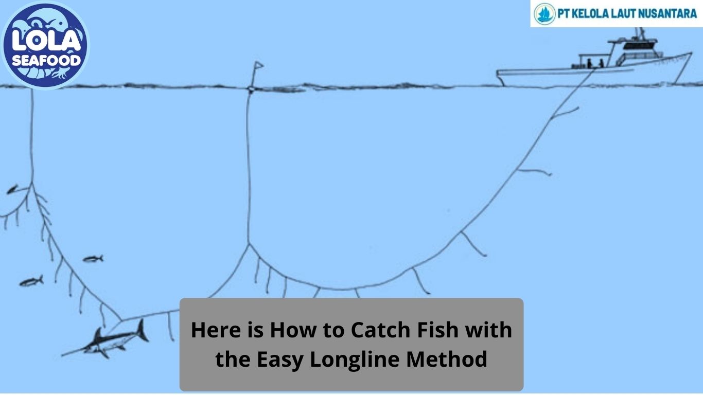 Here is How to Catch Fish with the Easy Longline Method